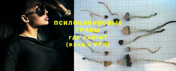 мяу мяу мука Абдулино