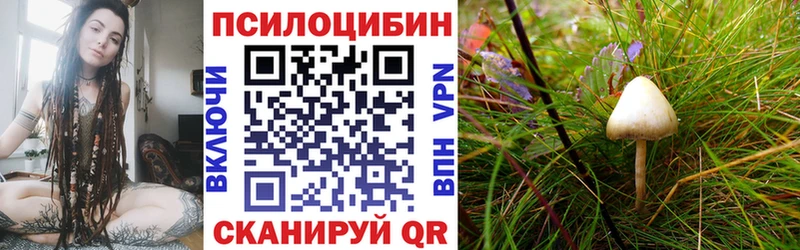 Галлюциногенные грибы GOLDEN TEACHER  наркошоп  Тюкалинск 